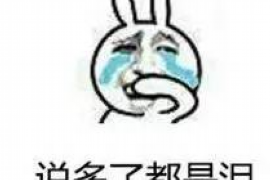 山亭要账公司更多成功案例详情